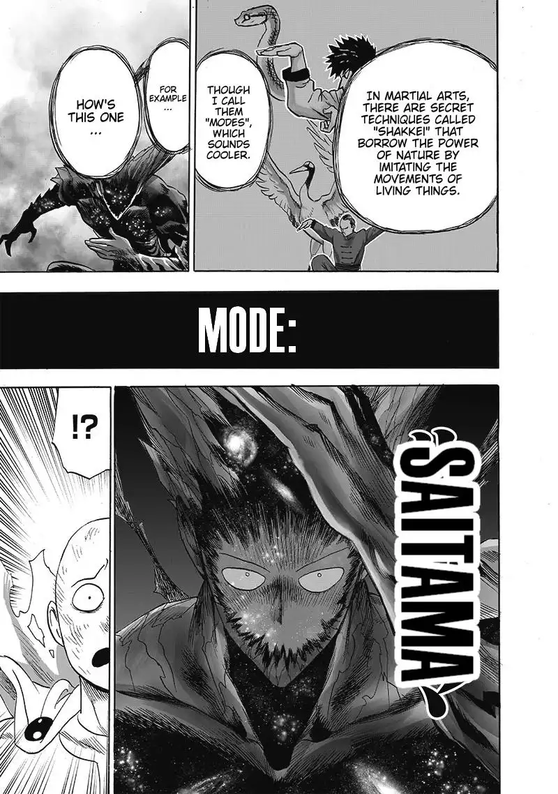 One-Punch Man Chapter 165 15